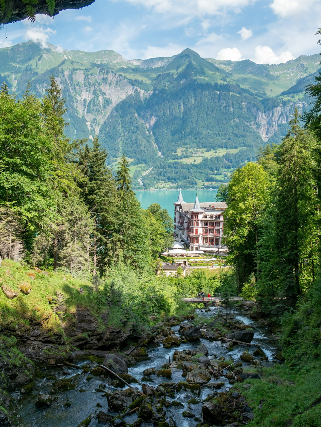 swiss green nature