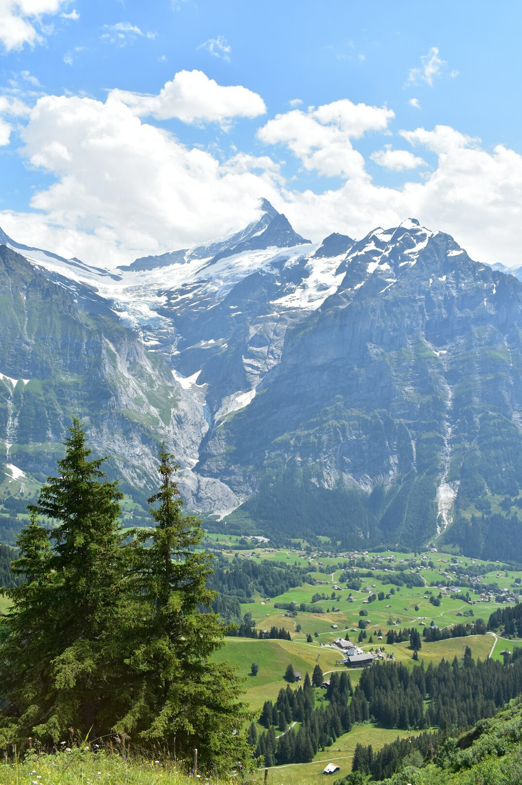 swiss alps sustainable files
