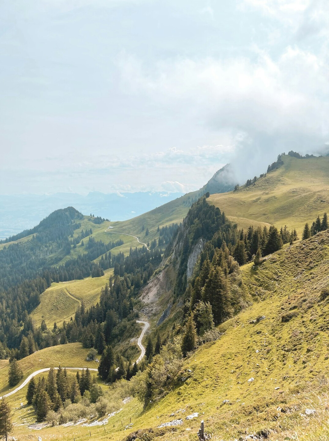 swiss mountains green